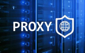 Image-proxy1