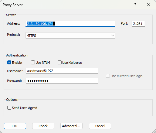 proxifier proxy server details example